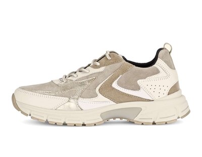 Low sneaker multicolour