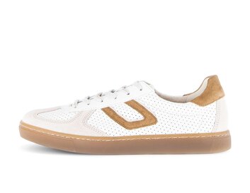 Low sneaker multicolour