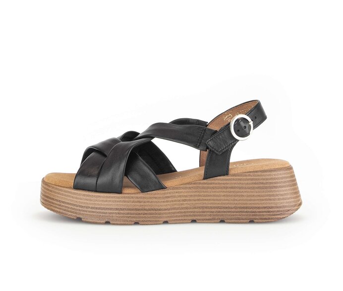  p14272647 black #0