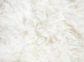 Close-up of soft, white wool material. | © Diana Taliun