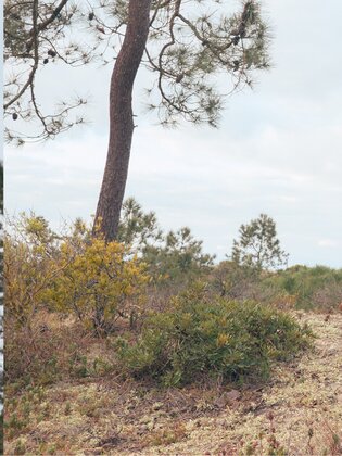 © Gabor Shoes GmbH, Allemagne